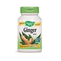 Ginger