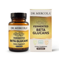 Fermented Beta Glucans Fermented Beta Glucans