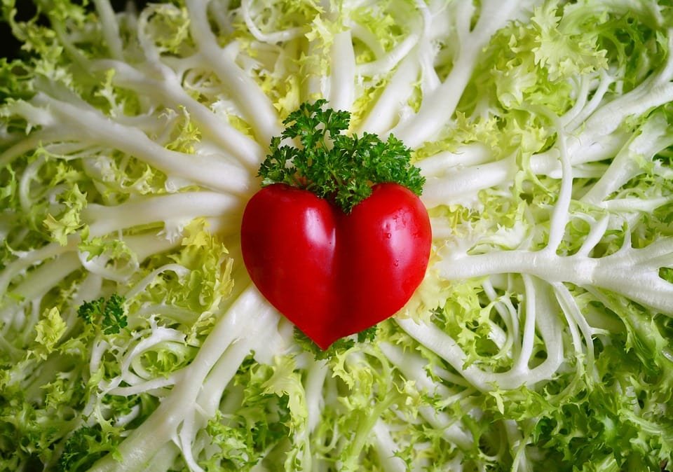 The Ultimate Guide To The Vegan Diet Healthy Heart