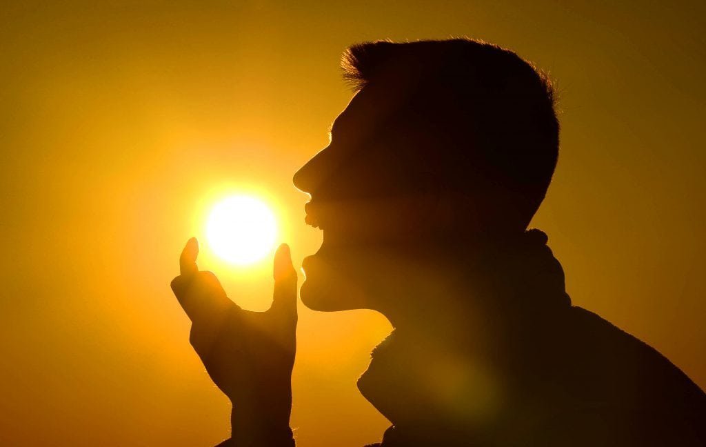 The Ultimate Guide To The Vegan Diet Vitamin D