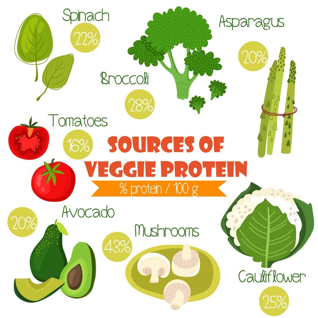 The Ultimate Guide To The Vegetarian Diet Protein