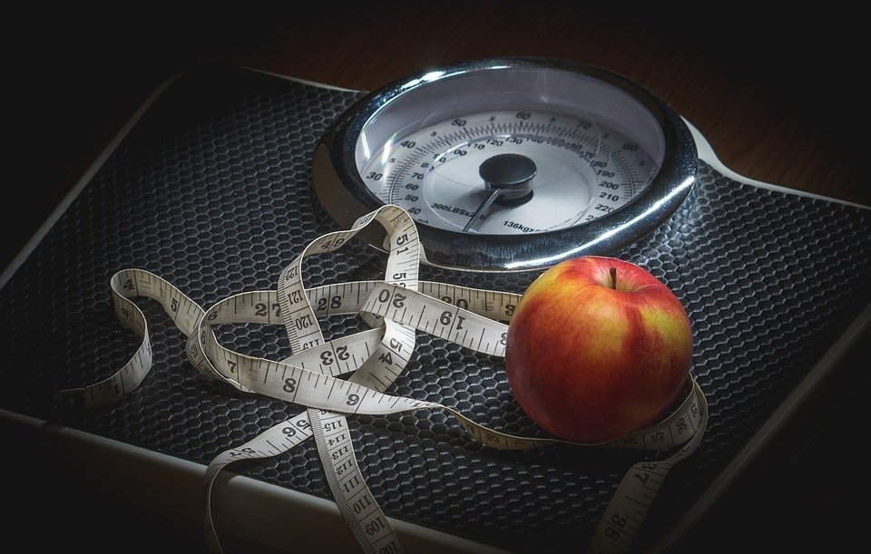 The Ultimate Guide To The Vegetarian Diet Weight Loss