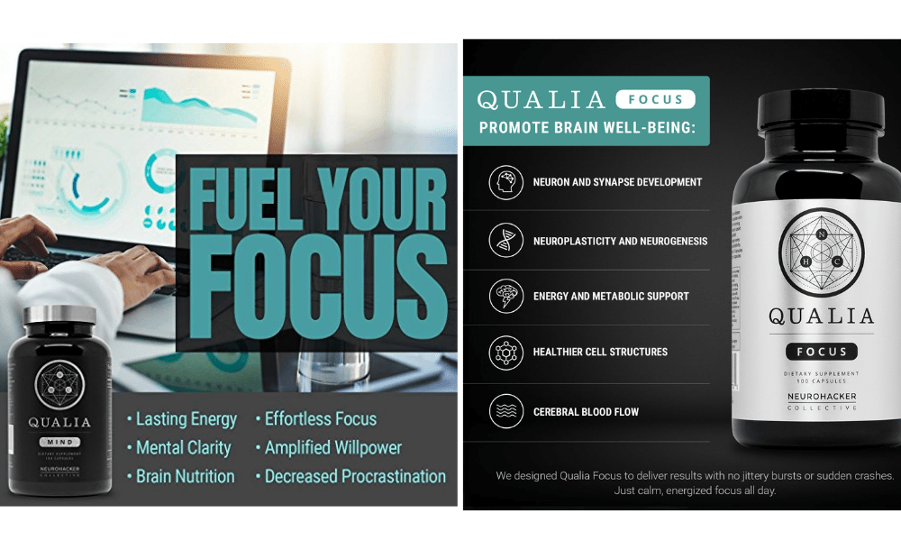 Qualia Mind & Qualia Focus