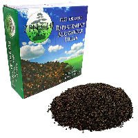 Buckwheat