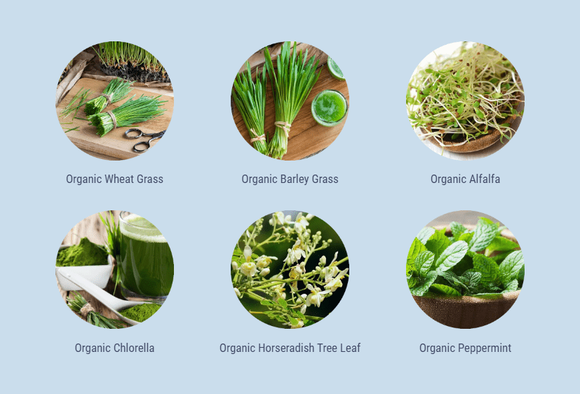 Organic Primal Grass Blend Annotation 2019-10-04 023158