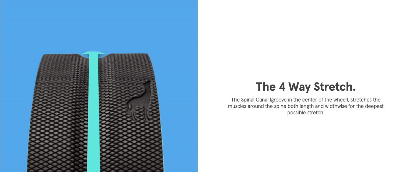 Chirp Wheel Plus Features