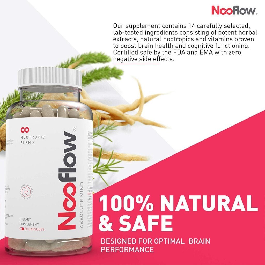 Nooflow Absolute Mind Pros vs Cons