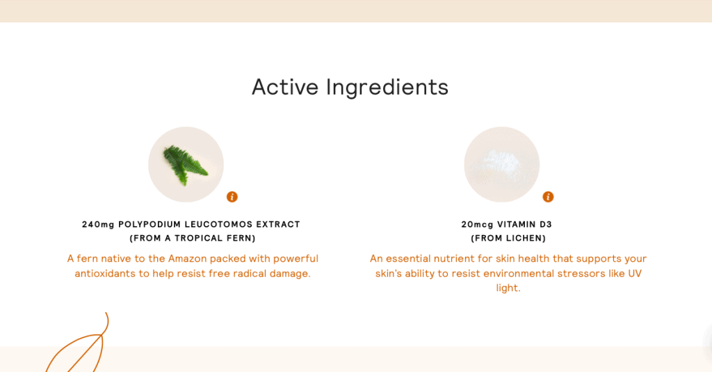 Sundaily-Ingredients
