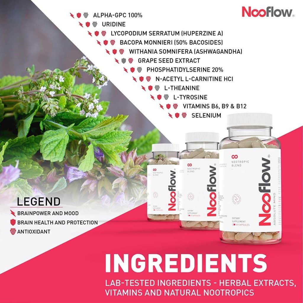 Nooflow Absolute Mind Ingredients