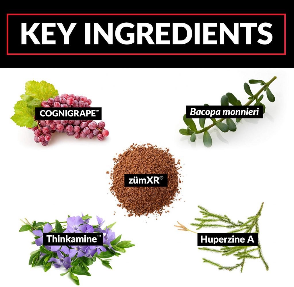What-are-the-ingredients-of-Forebrain