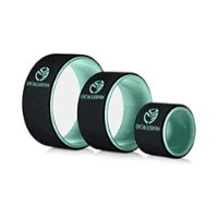 Chirp Wheel+