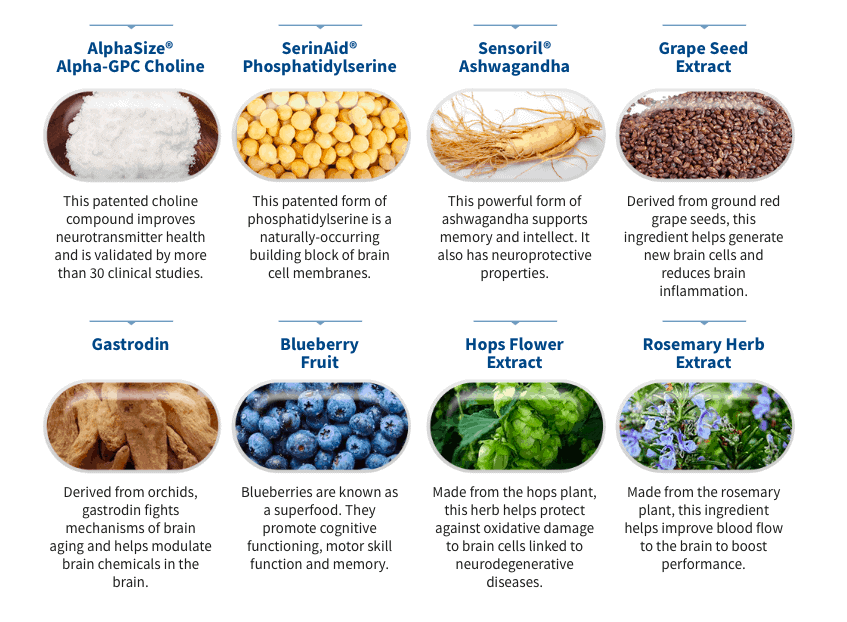 Genbrain Nootropic Ingredients