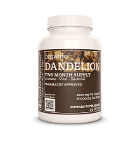 Dandelion Root