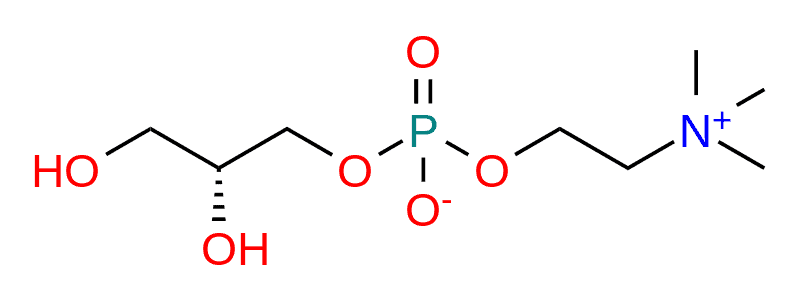 alpha-gpc