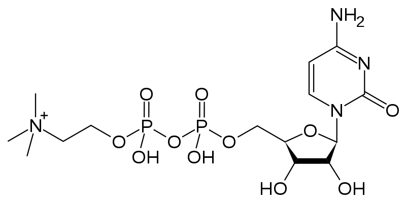 citicoline