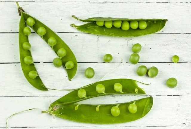 Pea-Protein