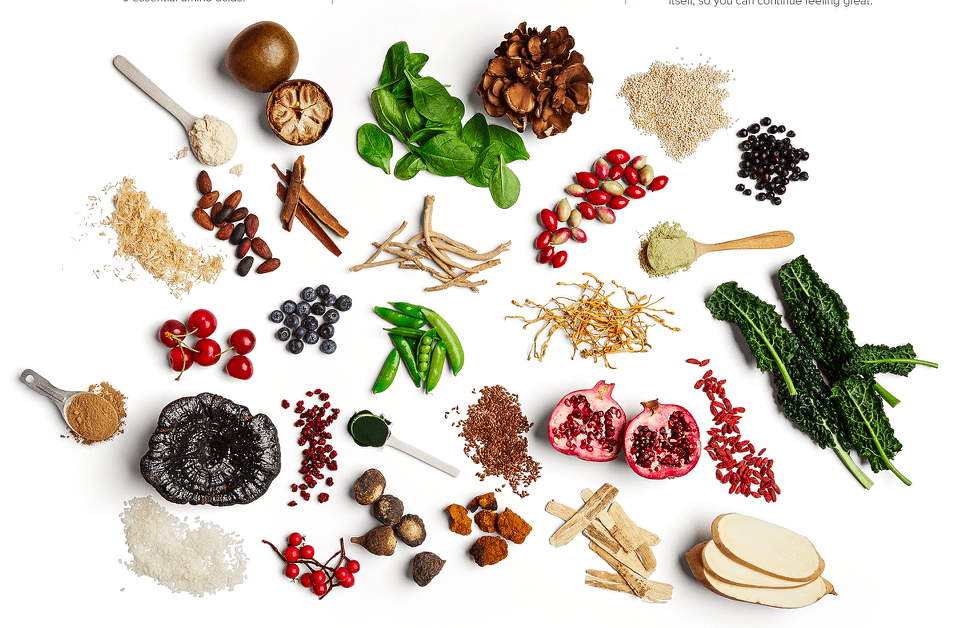 Shakeology by TeamBeachBody Ingredients