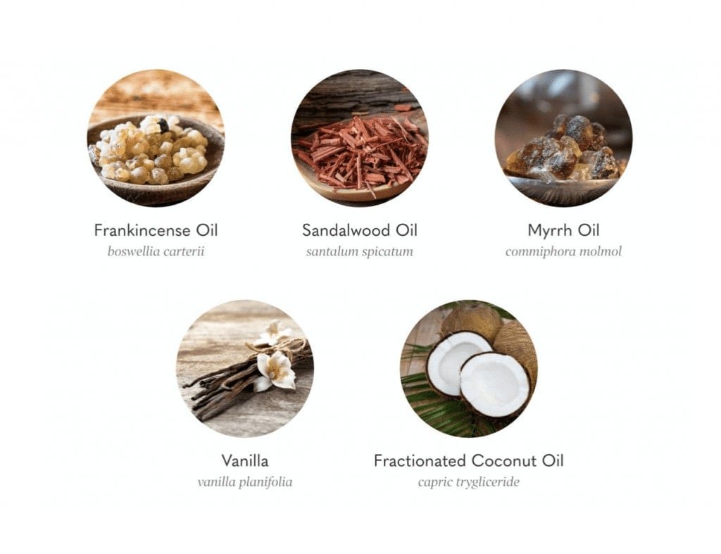 Vitality-Skin-Envy-Ingredients
