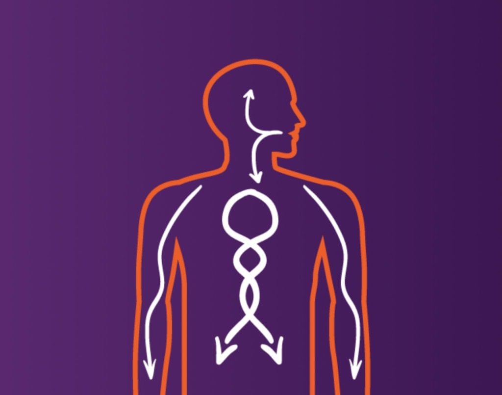Total-Life-NutraBurst-Liquid-Multivitamin-Benefits