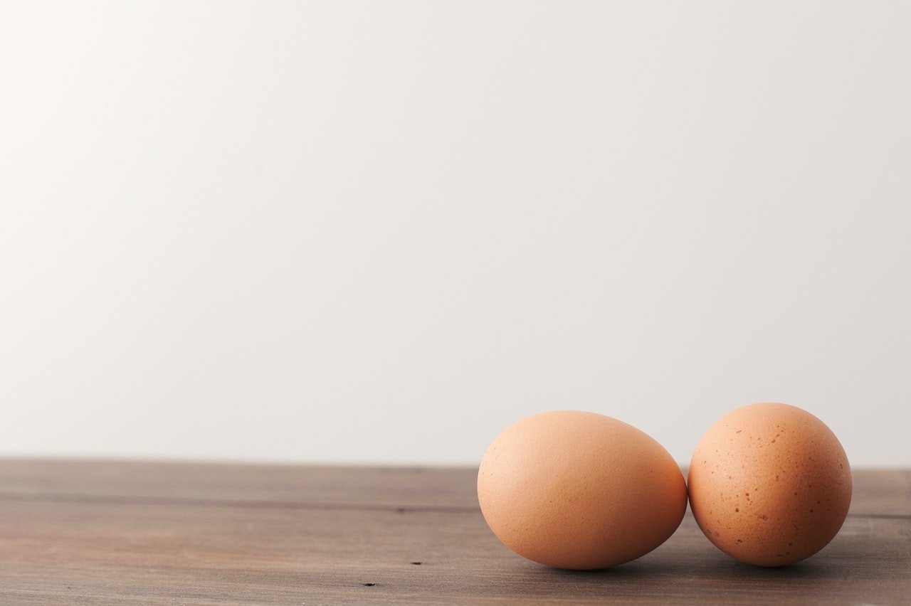 Egg White Protein