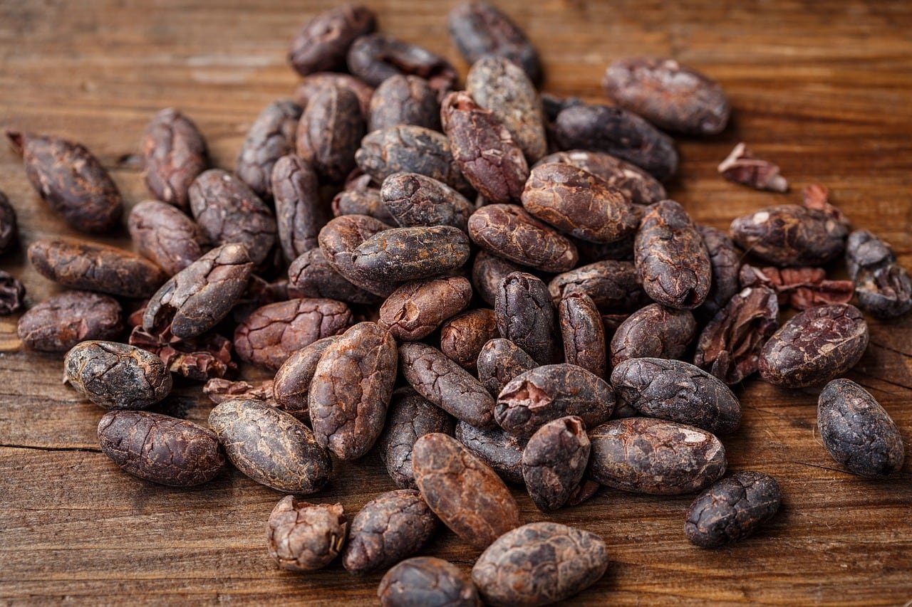 Hydra Shred - Cocoa Seed Extract