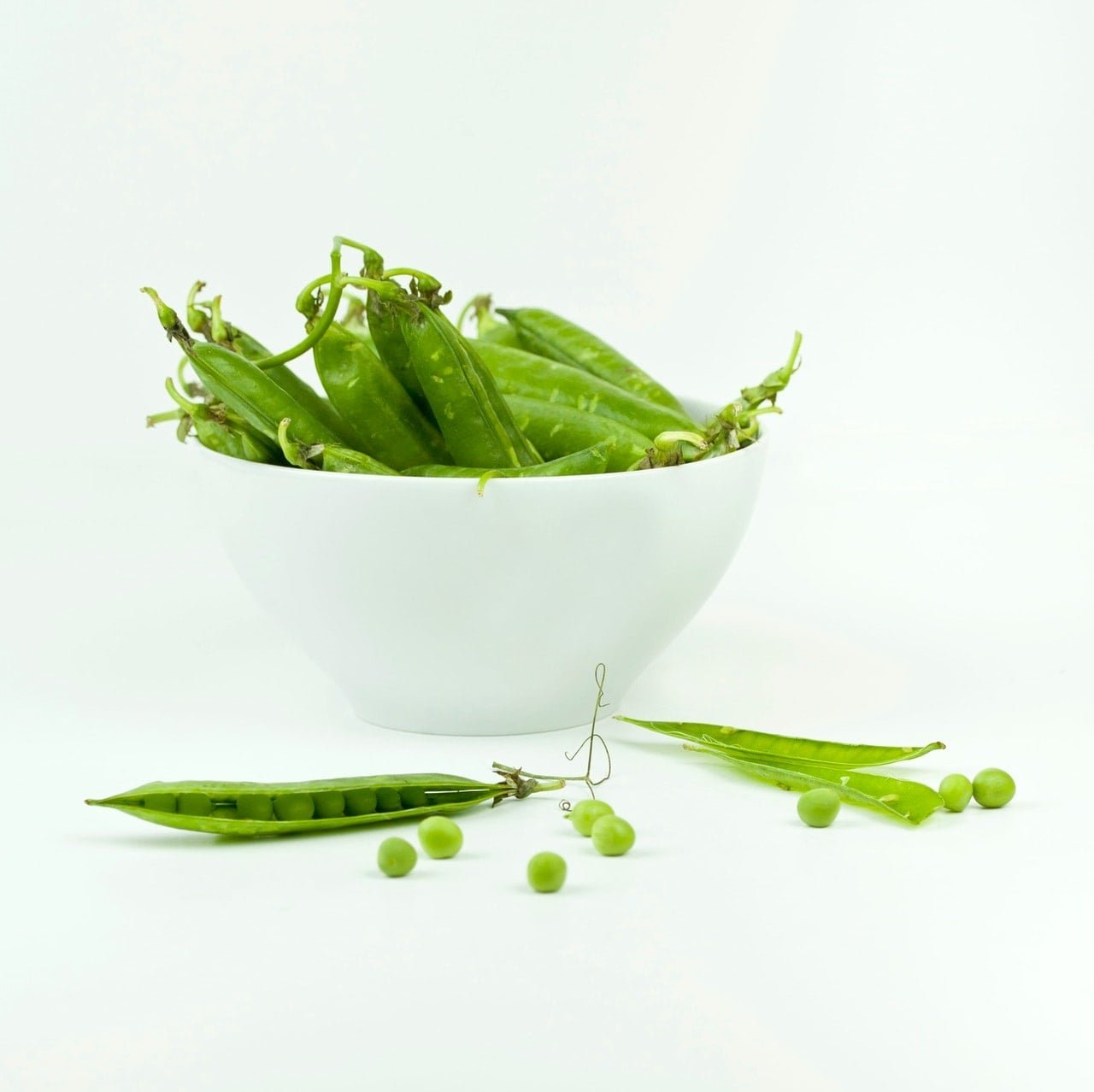 Pea Protein