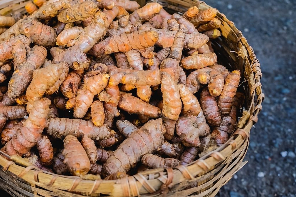 Protandim Nrf2 Synergizer - Turmeric Root