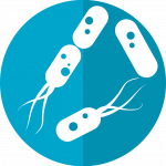 best prebiotics best prebiotics