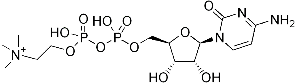 Choline DIAGRAM