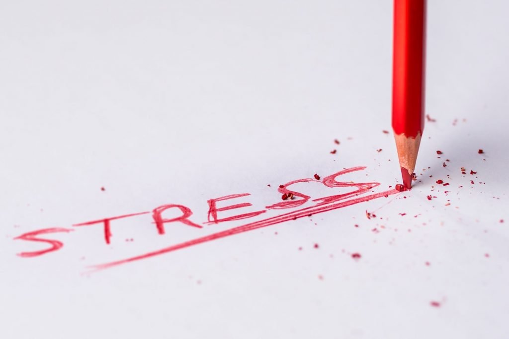 Well Roots Mood Up Stress Down supplement for stress