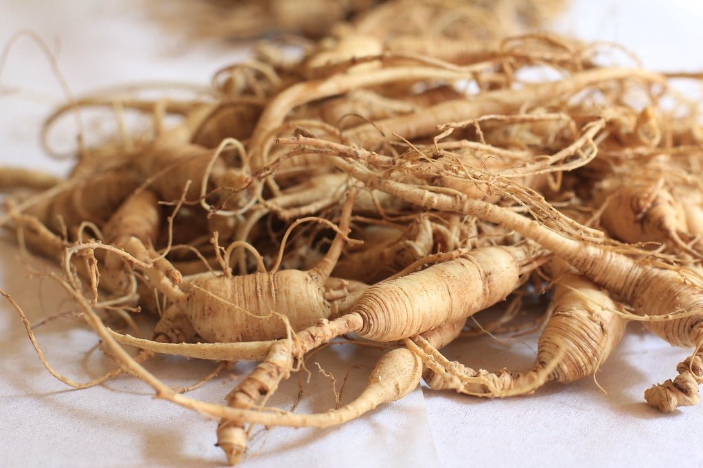 harvested Ginseng