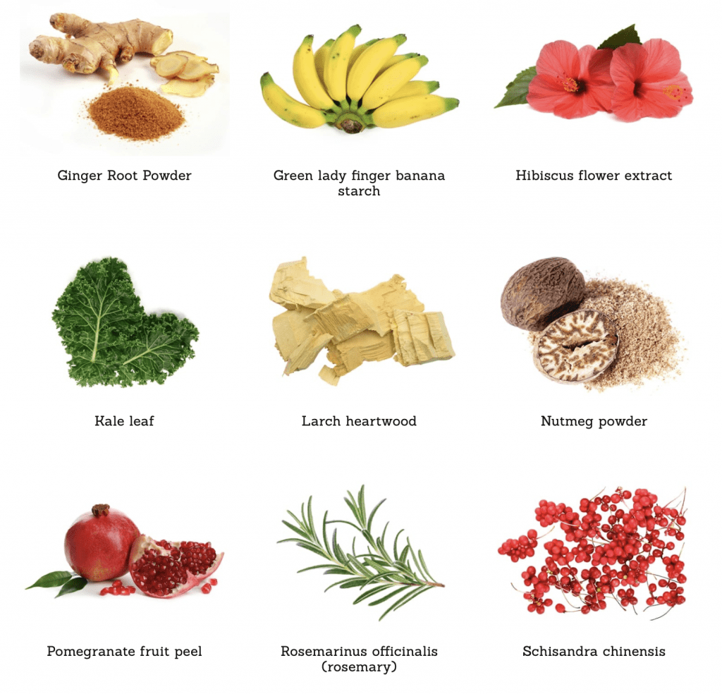 ATP Science Gutright ingredients 1