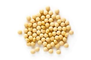 Best Folic Acid Supplements