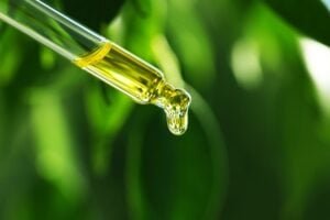 Best Liquid Multivitamins