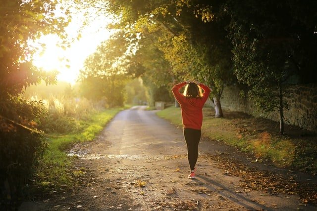 Best Milk Thistle Supplements