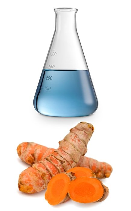 Curcumin 2000 ingredients