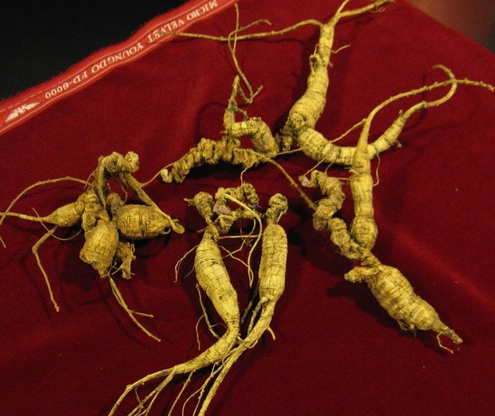 Ginseng