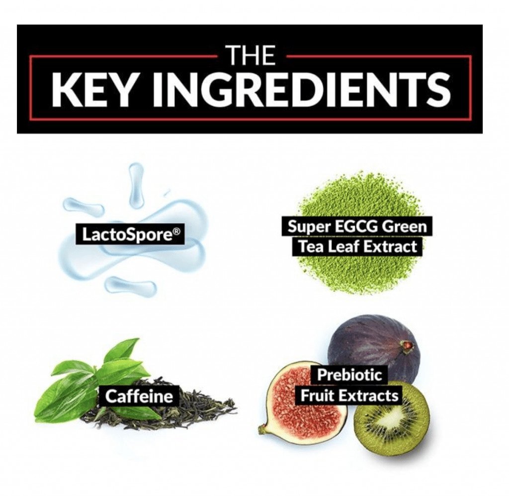 ProbioSlim-Ingredients