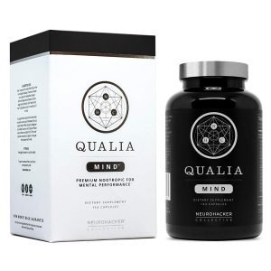 Qualia mind
