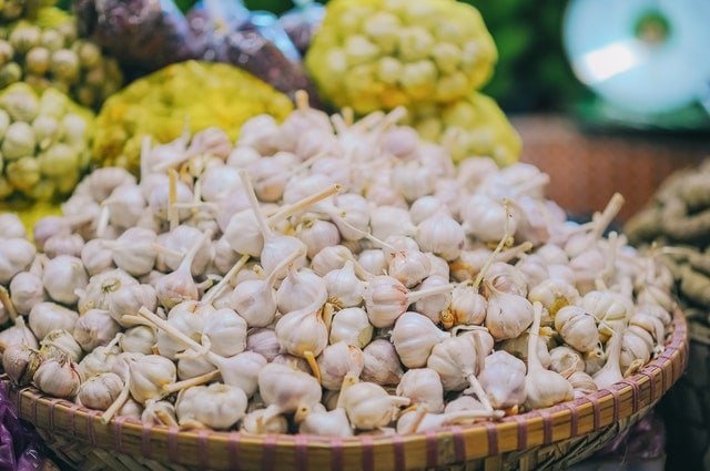 best garlic supplements