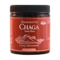 Chaga Extract