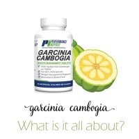 GARCINIA CAMBOGIA