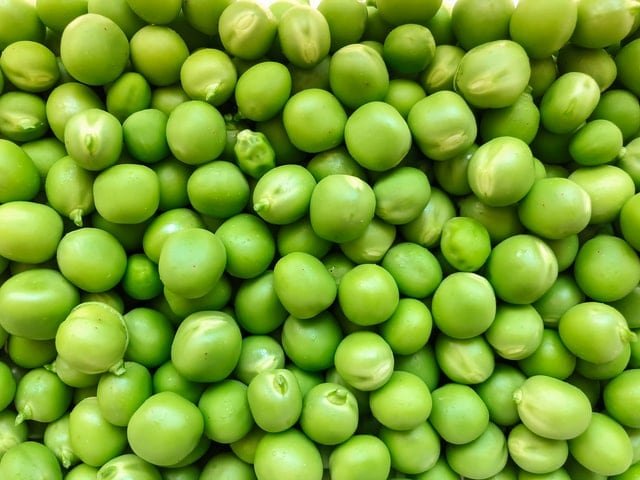 Vega Protein & Greens Benefits