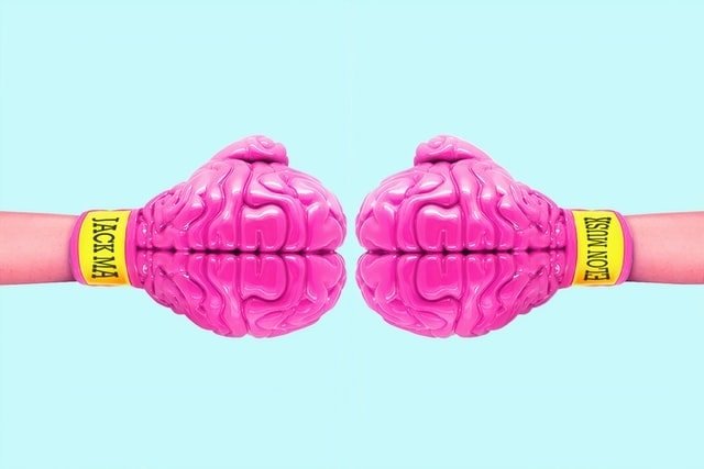 Best Supplements for Brain Health