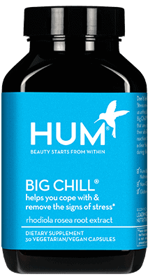 Hum Big Chill