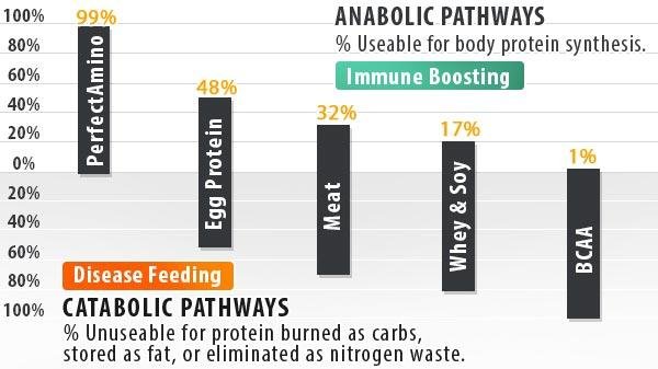 PerfectAmino Nutrition Graph