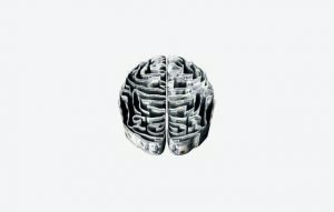 Brain Health Best Supplements