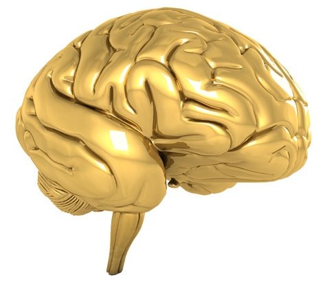 Formula Focus Nootropic For The Brain