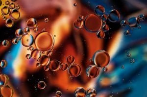 Krill Oil Works