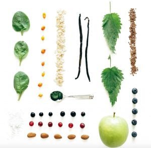 Ambronite Complete Meal Shake Ingredients